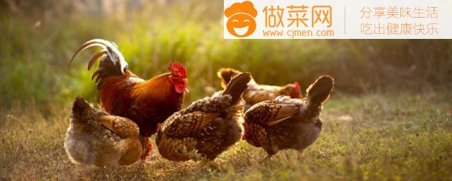 中元节可以吃鸡吗