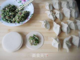 芹菜肉馅水饺的做法步骤：8