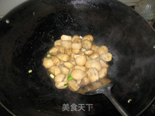 清炒草菇的做法步骤：4
