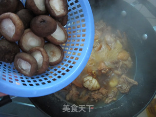 香菇黄焖鸡的做法步骤：10