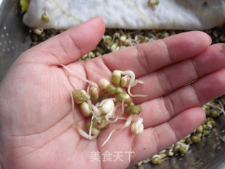 如何在低温季节生发绿豆芽的做法步骤：8