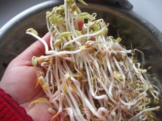 如何在低温季节生发绿豆芽的做法步骤：17