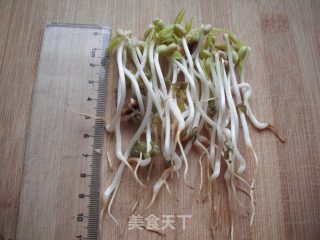 如何在低温季节生发绿豆芽的做法步骤：19