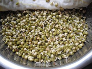 如何在低温季节生发绿豆芽的做法步骤：7