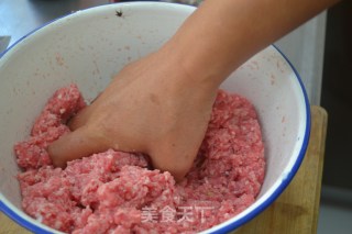 家传的【牛肉水饺】（28图超详解拌馅儿，两种包法）的做法步骤：5