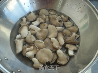 炒秀珍菇的做法步骤：3