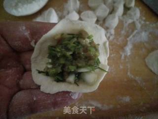 茴香苗猪肉饺子的做法步骤：16