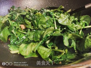 虾仁炒菠菜的做法步骤：4