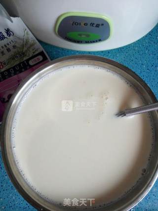 开菲尔酸奶的做法步骤：5