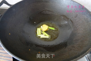 【东北特色菜】铁锅炖大鹅的做法步骤：5
