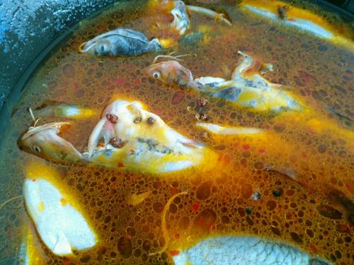 黄豆烧鱼的做法