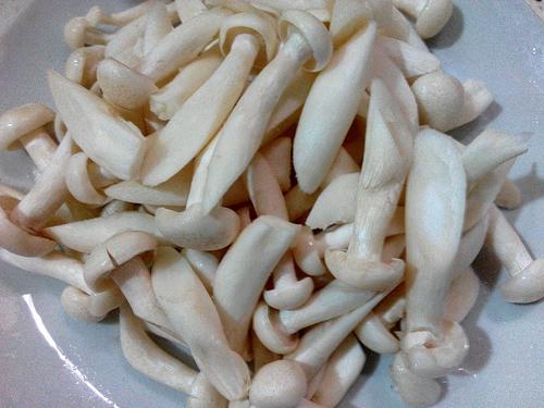 蚝油海鲜菇的做法