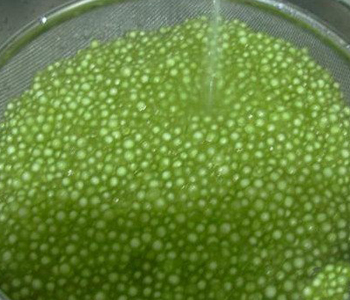 绿西米是什么 绿西米的功效 绿西米怎么吃