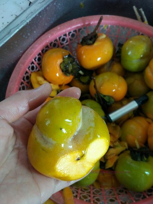 脆甜柿子果的做法的做法