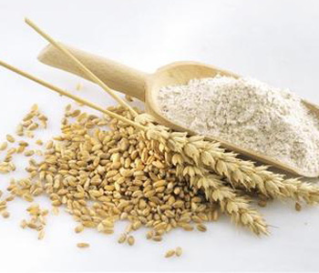 小麦的营养价值 小麦的做法大全 孕妇可以吃小麦吗