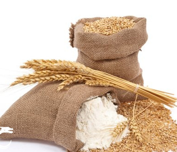 浮小麦粥 浮小麦粥的做法 浮小麦粥的营养价值