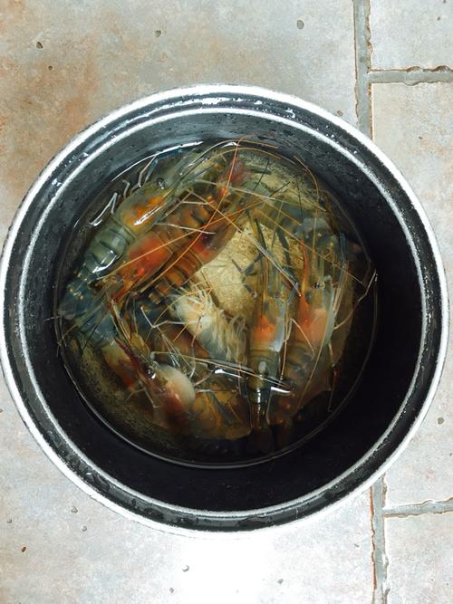 海盐焗罗氏虾的做法