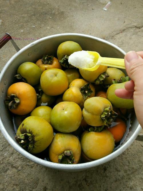 脆甜柿子果的做法的做法