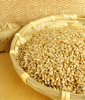 淮小麦的功效与作用 淮小麦对人体的好处 淮小麦怎么储存