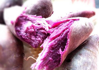 紫薯不是转基因食品证据确凿