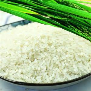 原阳大米 原阳大米是什么 原阳大米好吗