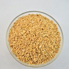 浮小麦和小麦的区别有哪些 浮小麦和小麦的功效有什么不同