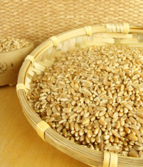 淮小麦的功效与作用 淮小麦对人体有哪些好处