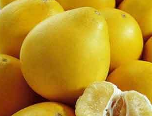 推荐 半月瘦4斤柚子减肥法