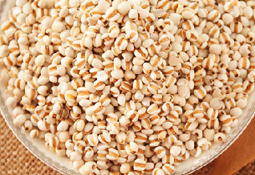 如何吃薏米能达到最佳祛湿效果