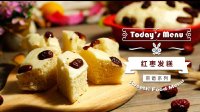 《微体兔 2016》红枣发糕 50 红枣发糕的做法视频