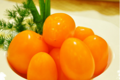 黄柿子和红柿子有什么区别 黄柿子和红柿子是同一种吗