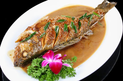 酸菜烧海鲈鱼的做法，用酸菜和海鲈鱼同烧味美不腥