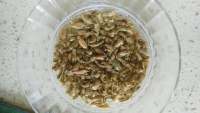 麦豆干豆角焖鸡肉的做法步骤1