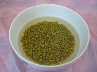 凉拌自发绿豆芽的做法步骤1