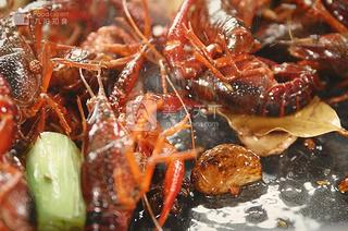 麻辣小龙虾-九阳知食的做法步骤：5