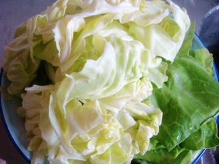 【湘菜】--干锅手撕包菜的做法步骤:2