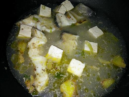 花鲢鱼炖豆腐的做法