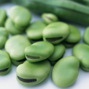 【蚕豆的做法】蚕豆的功效与作用_蚕豆的营养价值