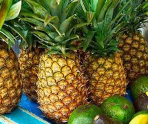 【菠萝怎么吃】菠萝蜜的营养价值_菠萝蜜和榴莲的区别