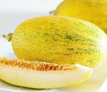【哈密瓜是什么季节的水果】哈密瓜是热性的吗_哈密瓜会胖吗