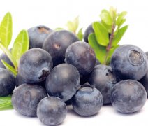 【蓝莓怎么吃】蓝莓的功效与作用_蓝莓的营养价值