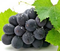 【葡萄的功效与作用】葡萄的营养价值_葡萄的热量
