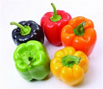 【柿子椒怎么做好吃】柿子椒的营养价值_柿子椒怎么挑选