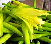 【新鲜黄花菜怎么处理】黄花菜的营养价值_黄花菜有毒吗