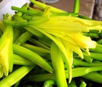 【凉拌黄花菜的做法】凉拌黄花菜的功效和作用_凉拌黄花菜的营养价值