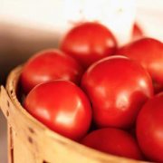 【西红柿炖排骨】西红柿炖排骨的做法_西红柿炖排骨的营养价值