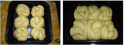 全麦老式面包的做法步骤5-6