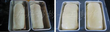 巨蛋牛奶肉松面包的做法步骤7-9