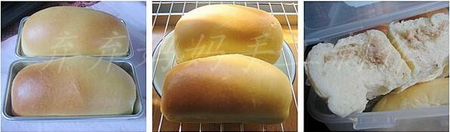 巨蛋牛奶肉松面包的做法步骤10-12