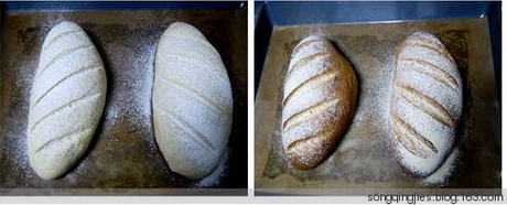燕麦面包的做法步骤5-6